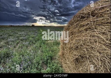 Hay Bale e Prairie Storm Foto Stock