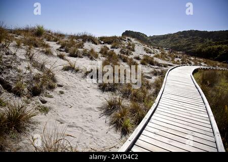 Passerella in legno Nuova Zelanda Foto Stock