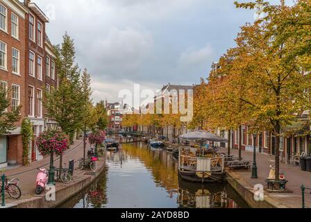 Nuovo fiume Reno a Leiden, Paesi Bassi Foto Stock