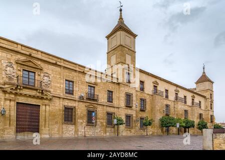 Palazzo Episcopale, Cordoba, Spagna Foto Stock