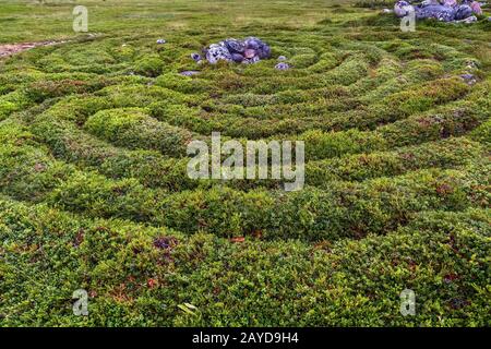 Grande isola di Zayatsky, Russia Foto Stock