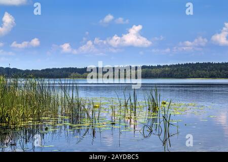 Parco Nazionale di Aukstaitija, Lituania Foto Stock