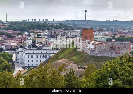 Castello di Vilnius, Lituania Foto Stock