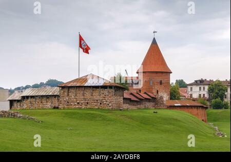 Il castello di Kaunas, Lituania Foto Stock