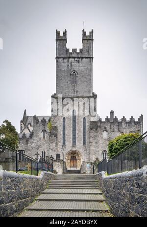 Cattedrale di Santa Maria, Limerick, Irlanda Foto Stock