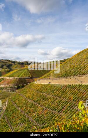 Estate indiana sulla strada del vino rosso nella valle di Ahr Foto Stock