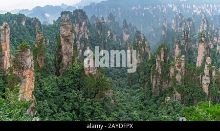 Pilastri in pietra delle montagne di Tianzi nel Parco Nazionale di Zhangjiajie Foto Stock