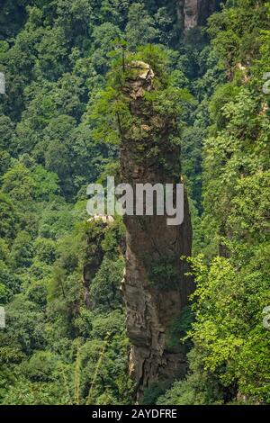 Pilastro in pietra delle montagne di Tianzi a Zhangjiajie Foto Stock