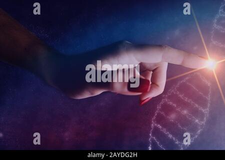 Primo piano della donna Che Tocca la molecola di DNA . Supporti misti. Foto Stock