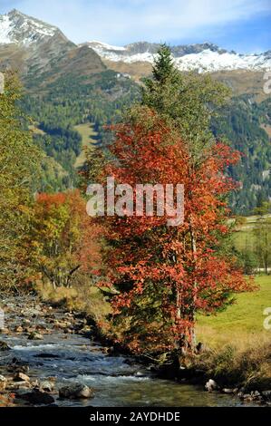 Mallnitztal in Austria Foto Stock