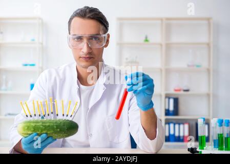 Nutrizione maschio esperto ortaggi di test in laboratorio Foto Stock