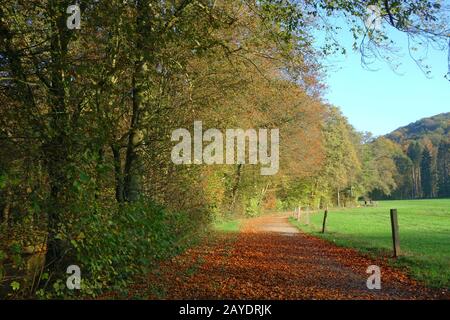 Strada di campagna in autunno Foto Stock