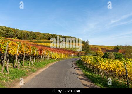 Estate indiana sulla strada del vino rosso nella valle di Ahr Foto Stock