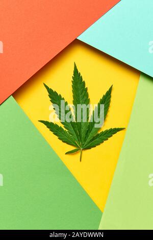 Cornice geometrica da carta colorata con foglia di cannabis. Foto Stock
