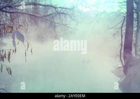 Scena di inverno Foto Stock