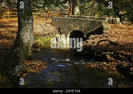 Vicino alla cascata di Uracher, albo svevo, germania Foto Stock