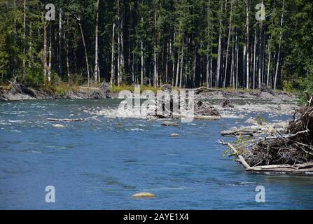 Il Parco nazionale di Olympic, Washington, Stati Uniti d'America Foto Stock