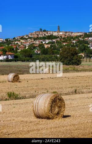 Balle di fieno su un campo in Toscana Italia Foto Stock