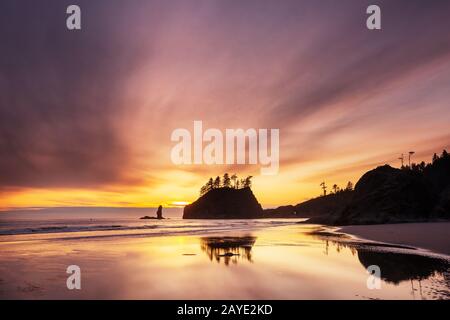 Olympic coast Foto Stock