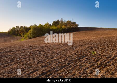 Paesaggio agricolo in autunno Foto Stock