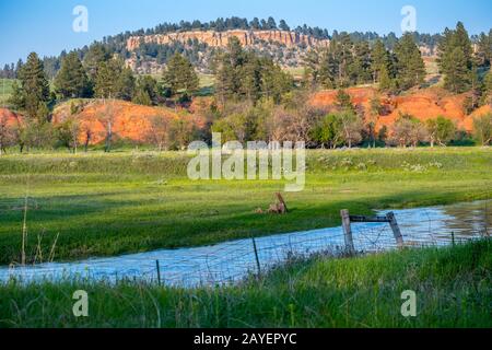 Il Belle Fourche fiume in Devils Tower National Monument, Wyoming Foto Stock