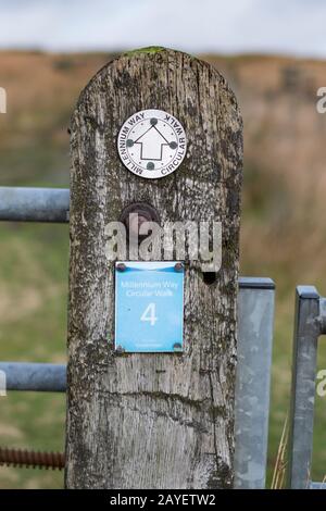 Millennium Way Sign On Thornton Moor, Bradford, West Yorkshire, Regno Unito Foto Stock
