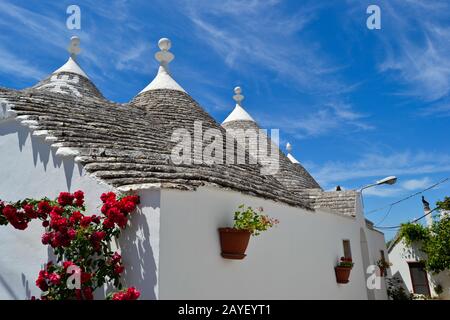 Trulli, tipiche case pugliesi rinvenute ad Alberobello, Italia con fiori rossi e cielo luminoso Foto Stock