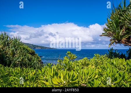 Vista sulla natura in Maui, Hawaii Foto Stock