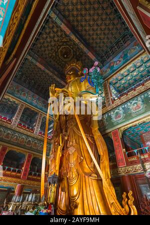 Buddha gigante di Lama Yonghe Tempio a Beijing in Cina Foto Stock