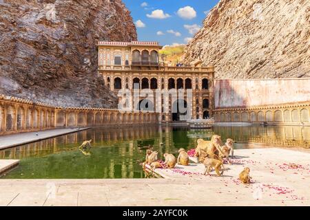 Tempio di Galta Ji o complesso del tempio della scimmia a Jaipur, India Foto Stock