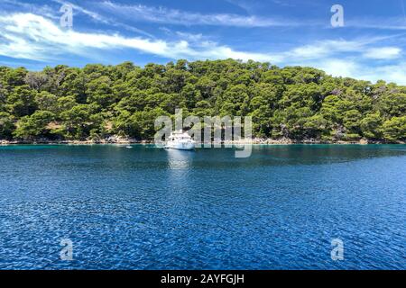 MLuxury motoryacht ormeggiato in splendida baia, mare turchese, foresta in background, estate giornata di sole Foto Stock