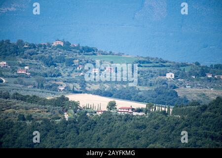 Olivi in Umbria. Agosto 18th 2019 © Wojciech Strozyk / Alamy Stock Photo Foto Stock