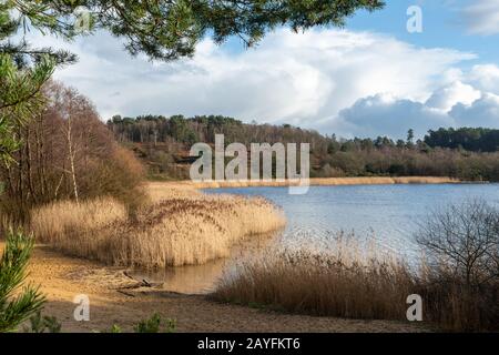 Vista del Frensham Great Pond a Surrey, Regno Unito Foto Stock