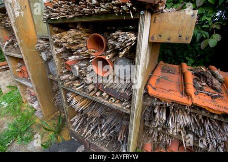 Educazione alla natura, centro visitatori, Belgio, Fiandre Orientali, Bourgoyen Foto Stock