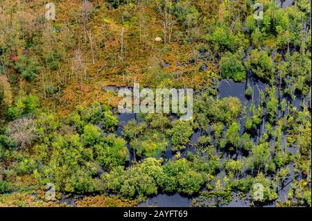 Riumettazione di Moor Dosenmoor, Einfelder Moor, vista aerea, Germania, Schleswig-Holstein Foto Stock