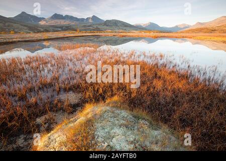 River Rondane national parc in autunno, Norvegia, Rondane National Park Foto Stock