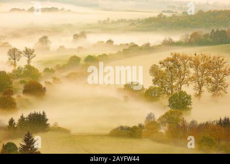 Valle di Viroin al mattino nebbia, Belgio, Henegouwen, Viroinvallei, Dourbes Foto Stock