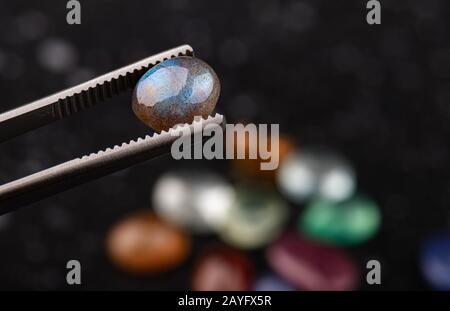 Pietre minerali di labradorite tagliate rotonde con fondo di pietre scure. Foto Stock