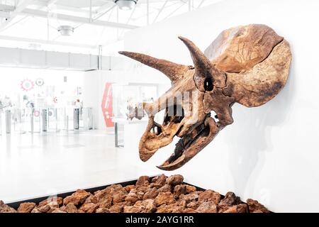 28 LUGLIO 2018, BARCELLONA, SPAGNA: La gente guarda un dinosauro triceratops fossile mentre visita al Cosmocaixa Museum of Science Foto Stock