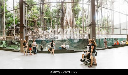 28 LUGLIO 2018, BARCELLONA, SPAGNA: Foresta pluviale tropicale con laghetto nel museo CosmoCaixa Foto Stock
