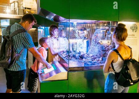 28 LUGLIO 2018, BARCELLONA, SPAGNA: Persone che guardano il terrarium a Cosmocaixa Foto Stock