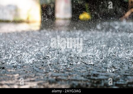 Gocce di pioggia sulla superficie del lago Foto Stock