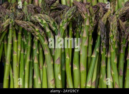 Stocchi e steli di asparagi tagliati di fresco e in mostra in una stalla di fruttivendolo in un mercato. Foto Stock