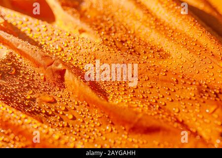 gocce d'acqua su tessuto impermeabile Foto Stock