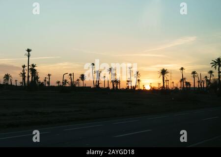 Tramonto tra le palme del deserto. Marrakech è una storia di notti arabe! Foto Stock