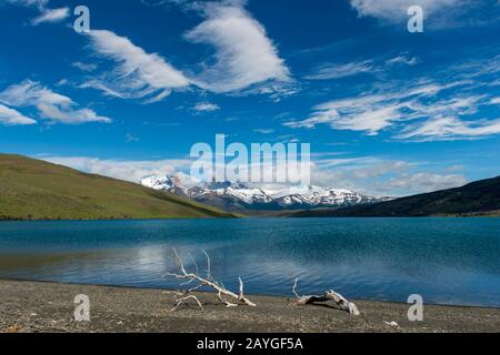 Vista delle Torri Paine con nubi con ramo di albero sulla spiaggia da Laguna Azul nel Parco Nazionale Torres del Paine in Patagonia, Cile. Foto Stock