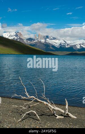 Vista delle Torri Paine da Laguna Azul con ramo di albero sulla spiaggia nel Parco Nazionale Torres del Paine in Patagonia, Cile. Foto Stock