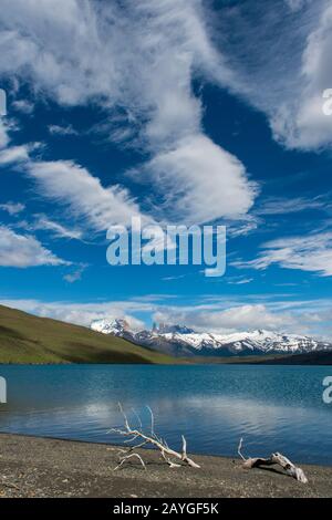 Vista delle Torri Paine con nubi con ramo di albero sulla spiaggia da Laguna Azul nel Parco Nazionale Torres del Paine in Patagonia, Cile. Foto Stock