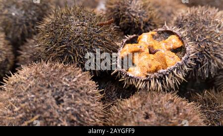 Ricci di mare in vendita in un mercato a Parigi, Francia Foto Stock