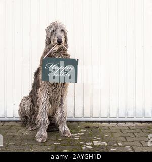 scozzese deerhound cane che tiene un messaggio di pasqua Foto Stock